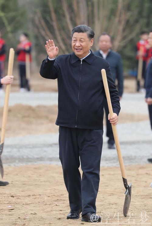 习近平在中共中央政治局集体学习中强调坚守自立自强，聚焦应用导向，推动人工智能发展有序健康