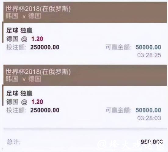 选择适合自己的2026世界杯投注平台